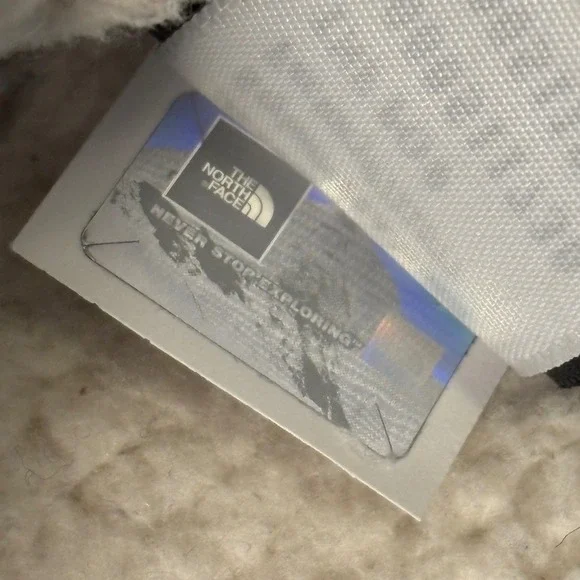 The North Face Campshire Pullover Hoodie Women's Sherpa Fleece Hoodie Warm Large - Picture 11 of 14